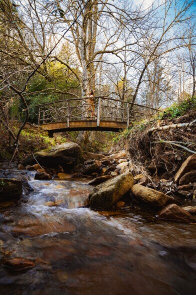 More Photos Of 111 Fiddlehead Ln, Zirconia Specialty For Sale