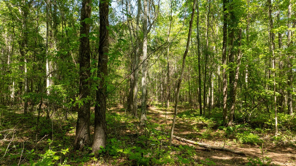 More Photos Of Lexington/Baldwin Park, Lagrange Land For Sale