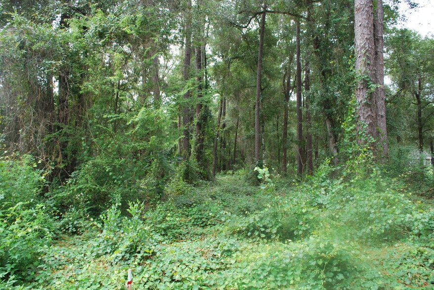 More Photos Of 000 NW 35th St, Ocala Land For Sale