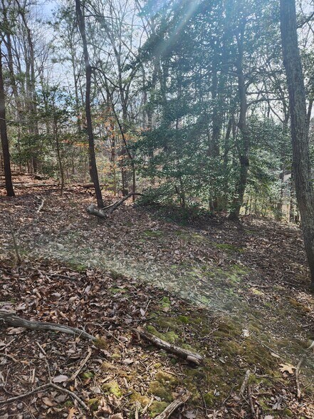 More Photos Of Lot 69 Plantation, Montross Land For Sale