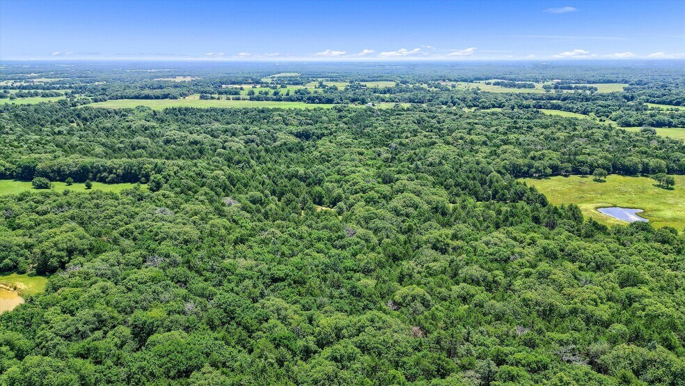 More Photos Of TBD CR 113, Whitesboro Land For Sale