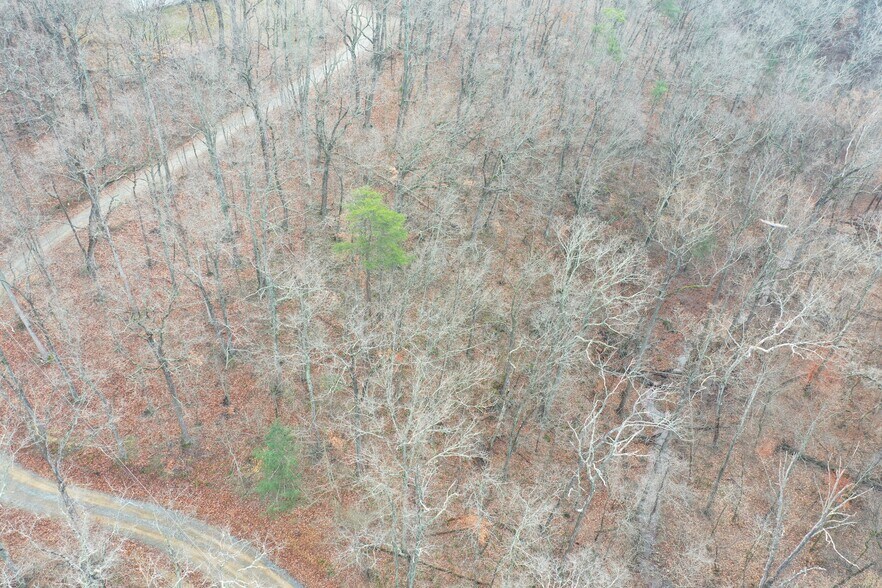 More Photos Of 155 White Fox Trl, Harpers Ferry Land For Sale
