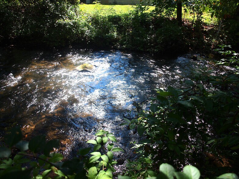 More Photos Of 1521 Sulphur Springs Rd, Waynesville Office For Sale