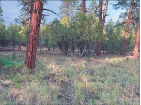 More Photos Of 4900 Arizona 260, Lakeside Land For Sale