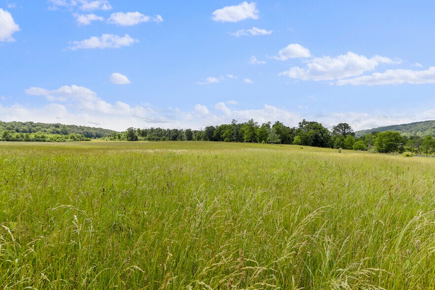 More Photos Of 3648 Dominion Rd, Gerrardstown Land For Sale