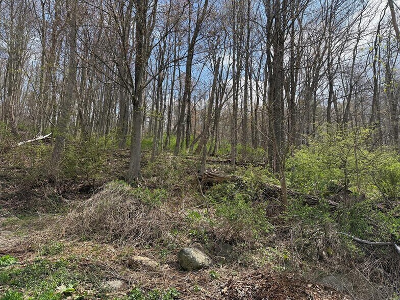More Photos Of Torrington Rd, Litchfield Land For Sale