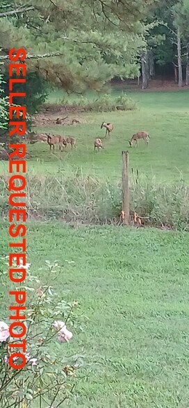 More Photos Of 1593 Old Alabama rd, Taylorsville Land For Sale