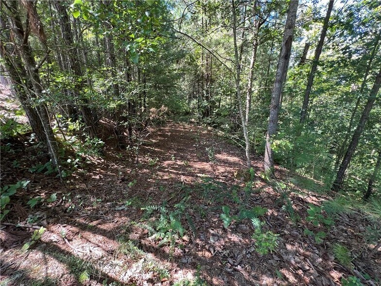 More Photos Of 16 Hawks Branch #123, White Land For Sale