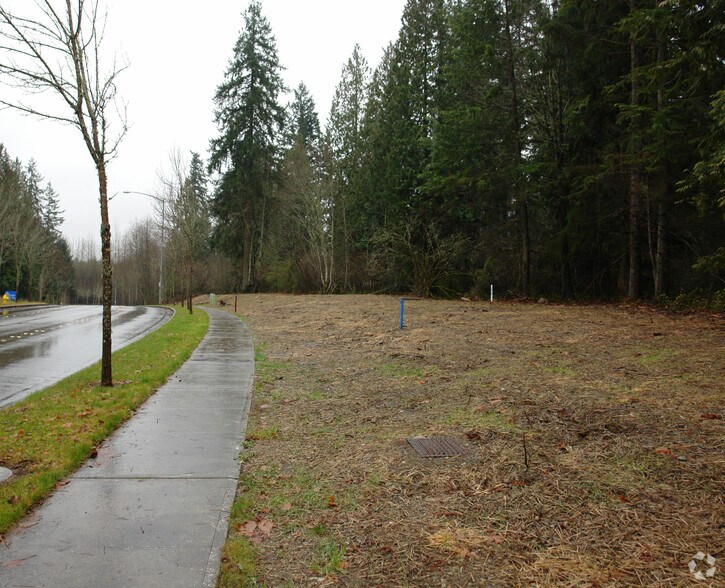 More Photos Of , Lacey Land For Sale