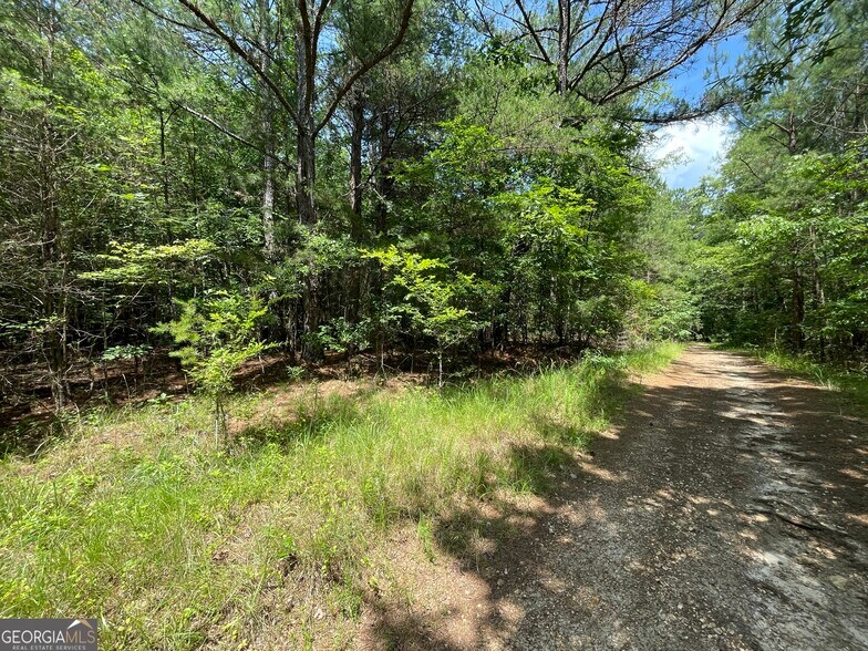 More Photos Of 0 Fallen Branch Circle Southeast, Rome Land For Sale