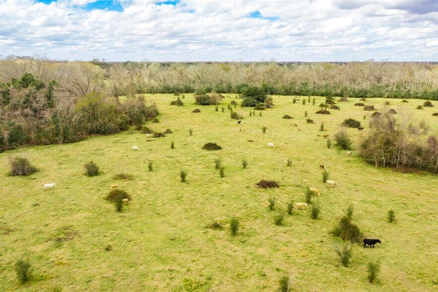 More Photos Of County Rd 31, Angleton Land For Sale
