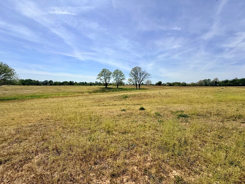 More Photos Of 4132 KY Highway 36 W, Cynthiana Land For Sale