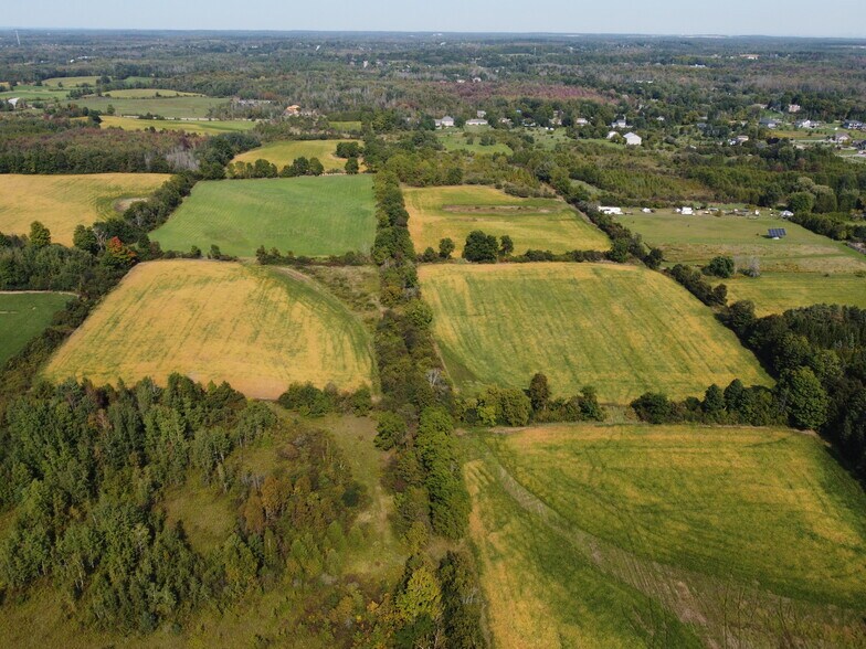 Primary Photo Of 11080 First Nass Line, Milton Land For Sale