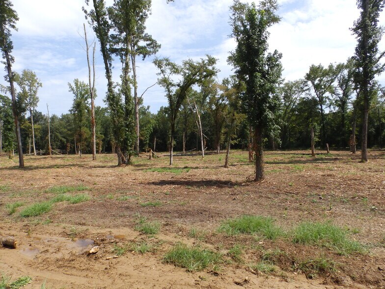 More Photos Of 16393 Highway 31, Tyler Land For Sale