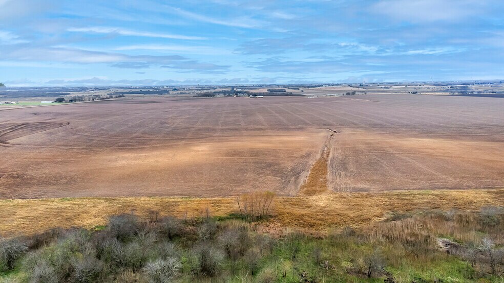 More Photos Of 1051 CR 369, Taylor Land For Sale