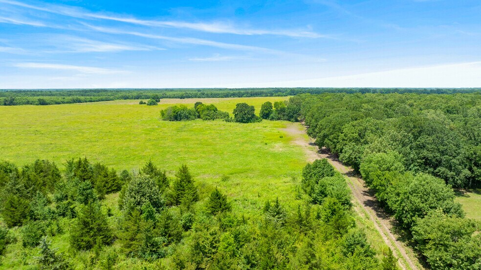 More Photos Of 449 County Road 1357, Clarksville Land For Sale