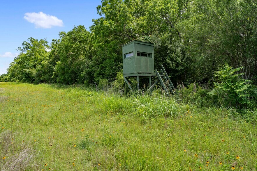 More Photos Of 10840 FM 442, Boling Land For Sale