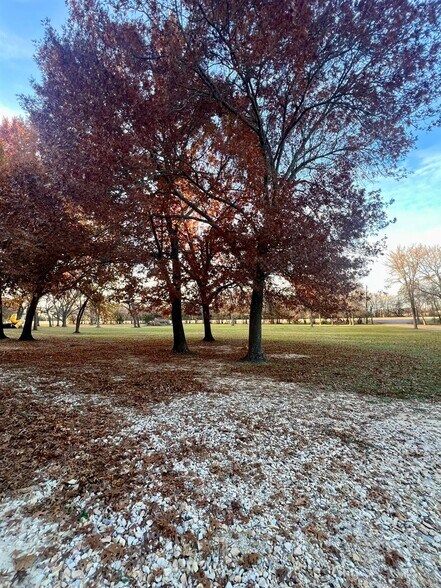 More Photos Of 6869 State 121 hwy, Bonham Specialty For Sale