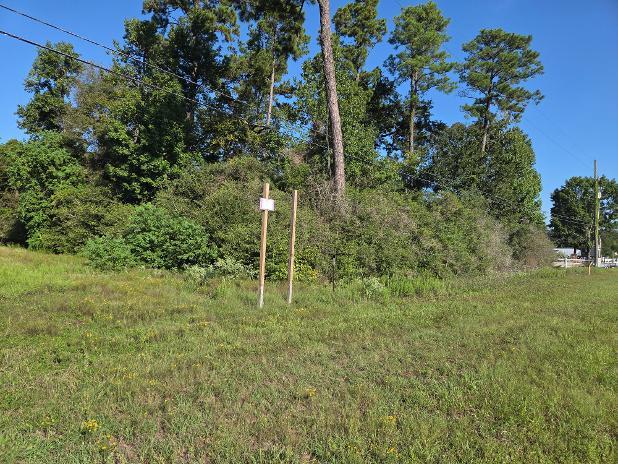 More Photos Of 0 Honea Egypt, Magnolia Land For Sale