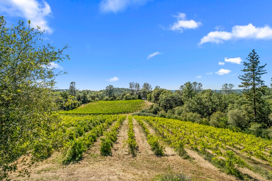 More Photos Of 8221 Stoney Creek Rd, Fair Play Winery Vineyard For Sale