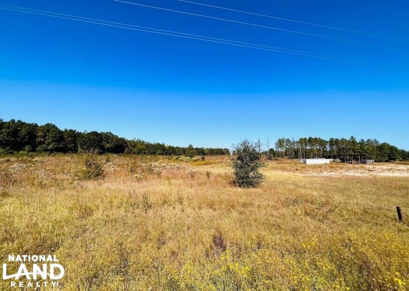 More Photos Of 10540 GA Highway 273, Jakin Land For Sale