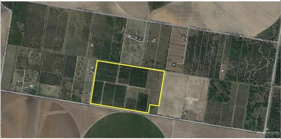 Primary Photo Of 0 Mile 17 Rd, Edinburg Land For Sale