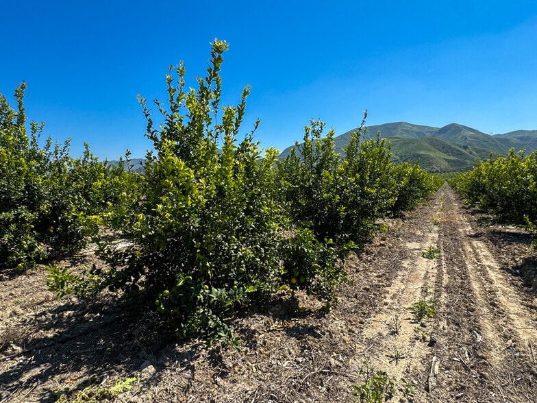 More Photos Of 2417 S Mountain Rd, Fillmore Land For Sale