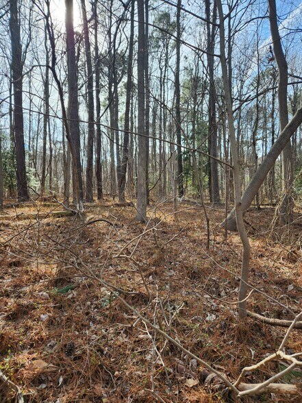 More Photos Of Lot 69 Plantation, Montross Land For Sale