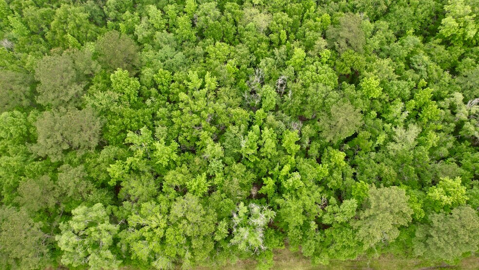 More Photos Of , Reevesville Land For Sale
