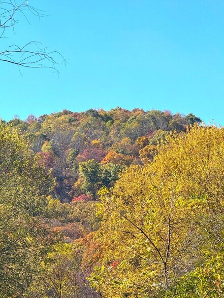 More Photos Of 0 Sewell Creek Rd, Meadow Bridge Land For Sale