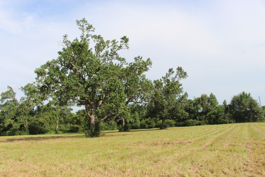 More Photos Of 14715 Medical Complex Dr, Tomball Land For Sale