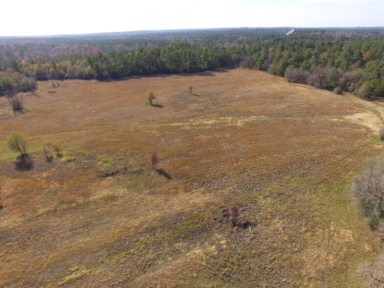 More Photos Of 14.16 Ac Tract 2 TBD Percy Howard rd, Huntsville Land For Sale