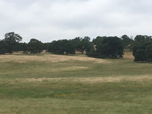 More Photos Of 0 0 Cox Lane (733 Acres) Ln, Oroville Land For Sale