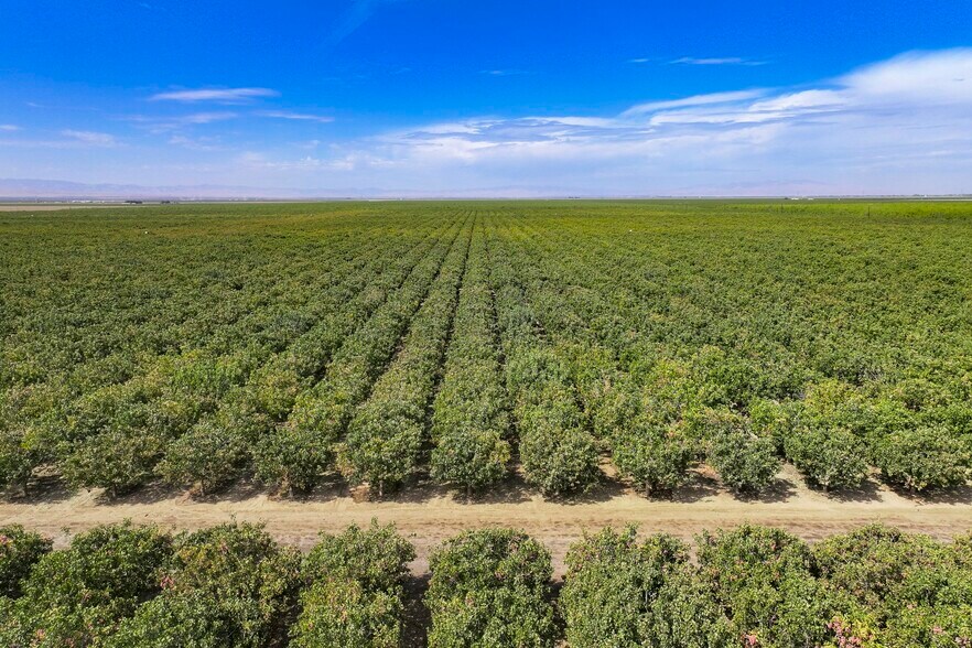 S. Jameson Ave, Huron, CA 93234 Land For Sale