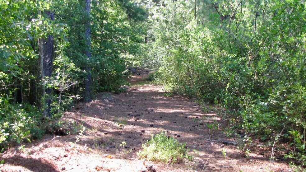 More Photos Of Aiken Rd @ Hennings Dr, Vass Land For Sale