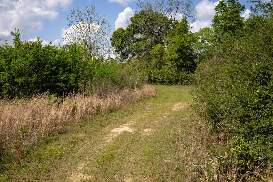 More Photos Of US 84 hwy, Newton Land For Sale