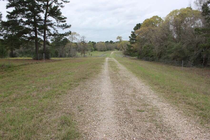 More Photos Of 16046 Honea Rd W, Montgomery Land For Sale