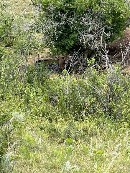 More Photos Of 10 Painted Hills Dr, Sheridan Land For Sale