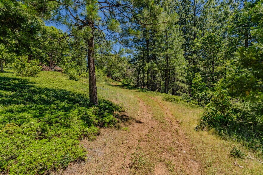More Photos Of 25755 State Highway 88, Pioneer Land For Sale