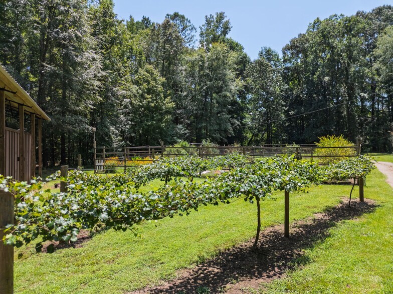 More Photos Of 1638 Old Minor Rd, Culloden Specialty For Sale