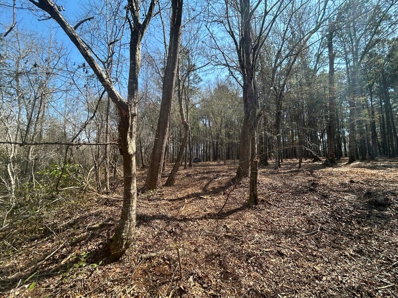 More Photos Of Victoria Blvd, Winnabow Land For Sale