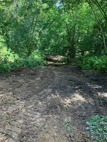 More Photos Of N3953 Bear Pen Rd, Arkansaw Land For Sale