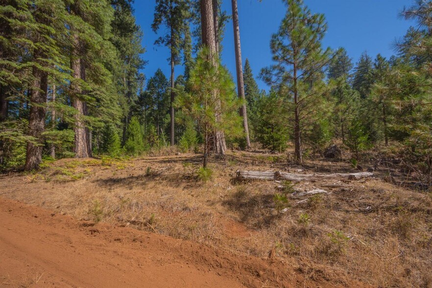 More Photos Of 1229 Blair Rd, Pollock Pines Land For Sale