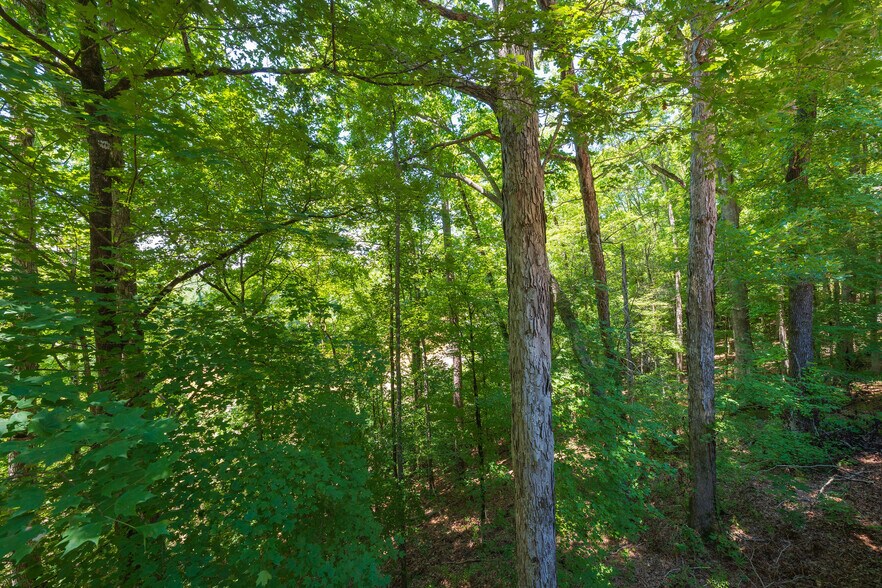 More Photos Of 1638 Old Minor Rd, Culloden Specialty For Sale