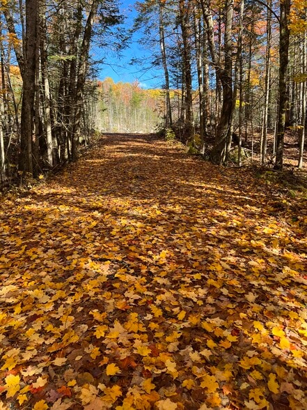 More Photos Of 370 Route 3 N, Carroll Land For Sale