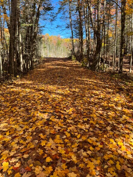 More Photos Of ROUTE 3 NORTH, Carroll Land For Sale
