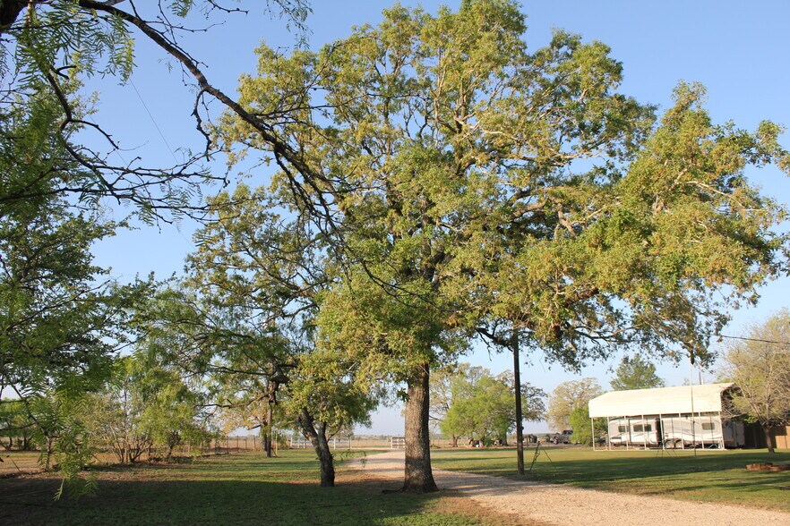 More Photos Of 986 Shiloh Rd, Bastrop Land For Sale