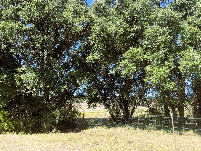 More Photos Of 1276 Farm to Market Road 574, Mullin Land For Sale