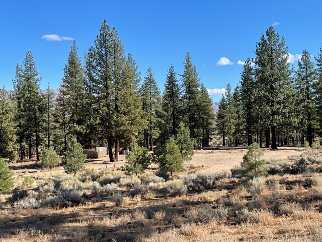 More Photos Of 415-025 Scott Rd, Doyle Land For Sale