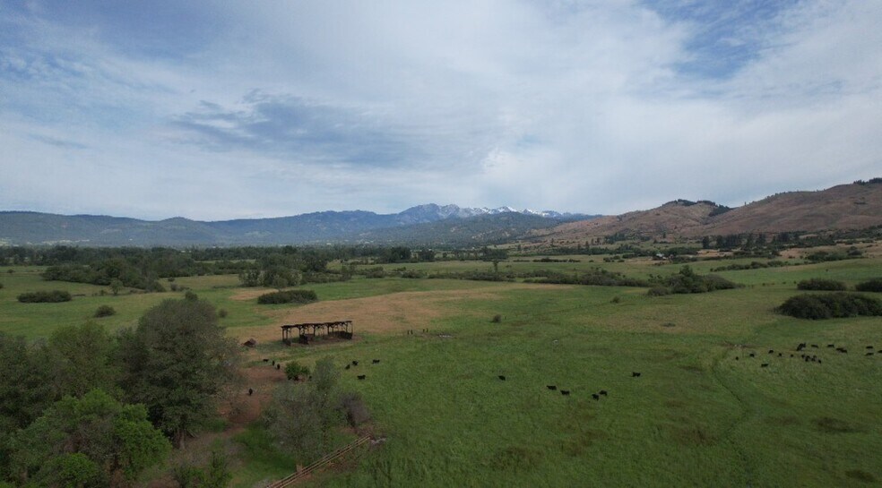 More Photos Of 38594 Sunny Dell Ln, Halfway Land For Sale